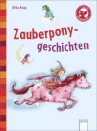 Zauberponygeschichten - Der Bücherbär: Kleine Geschichten.