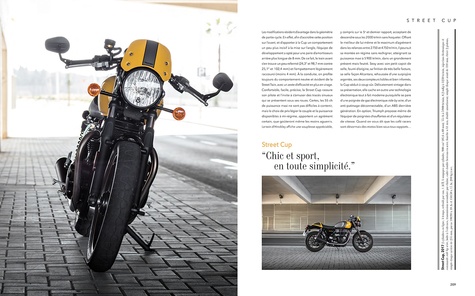 Triumph. L'art motocycliste anglais