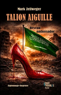 Talion aiguille