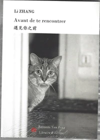 Avant de te rencontrer