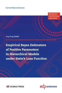 Empirical Bayes Estimators of Positive Parameters in Hierarchical Models under Stein's Loss Function