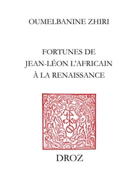 L'Afrique au miroir de l'Europe