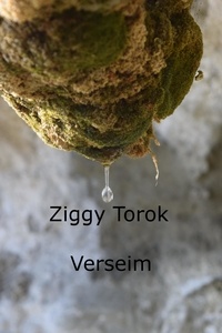  Ziggy Torok - Verseim.