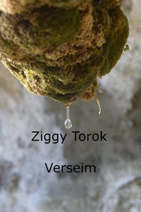 Verseim
