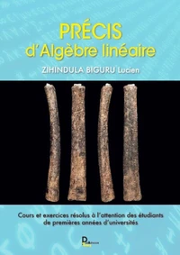 Précis d'algèbre linéaire