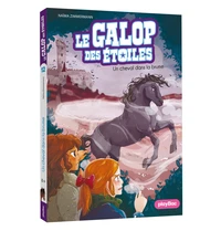 Le cheval fantôme