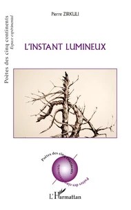 L'instant lumineux