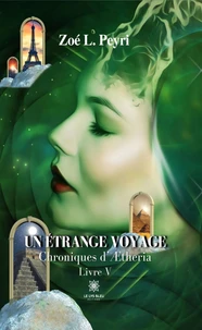 Un étrange voyage