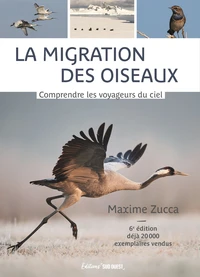La migration des oiseaux