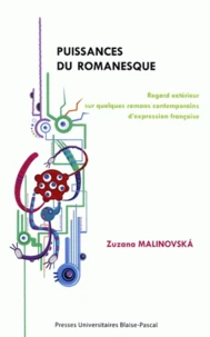 Puissances du romanesque
